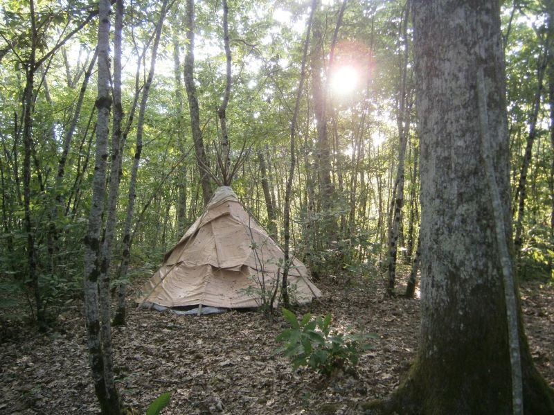 Bois lac hibou 1