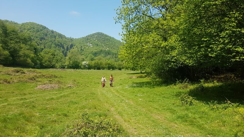 Le bois des fleches 26